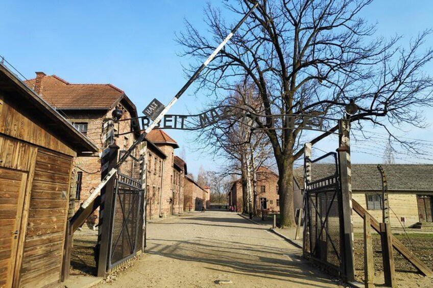 Auschwitz-Birkenau and Salt Mine in One Day from Krakow