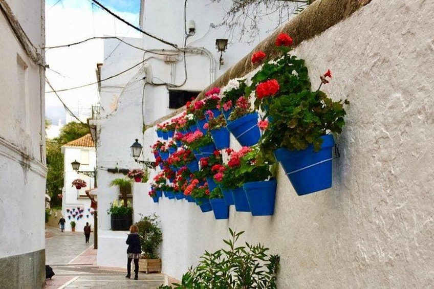 Calle Carmen 3