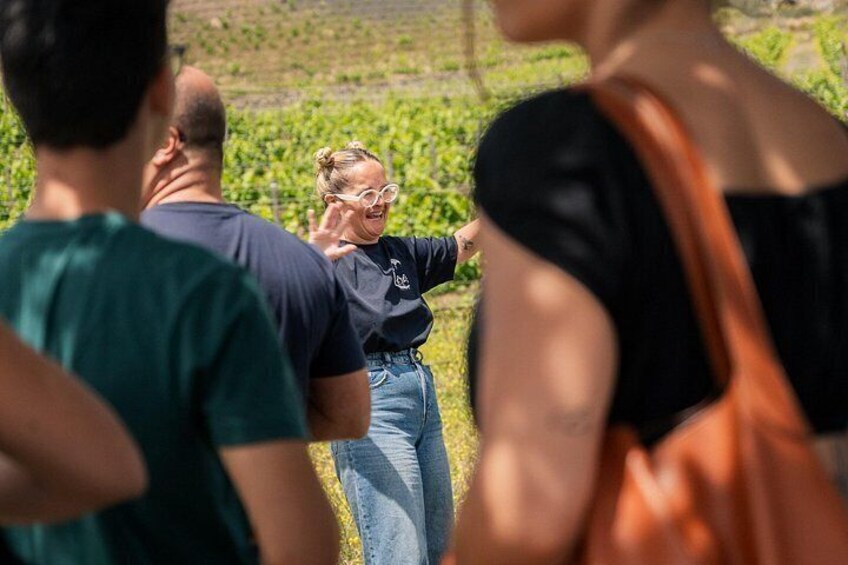 Meet the family behind Canarian wine 3
