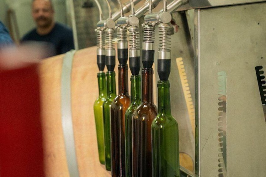Meet the family behind Canarian wine 2