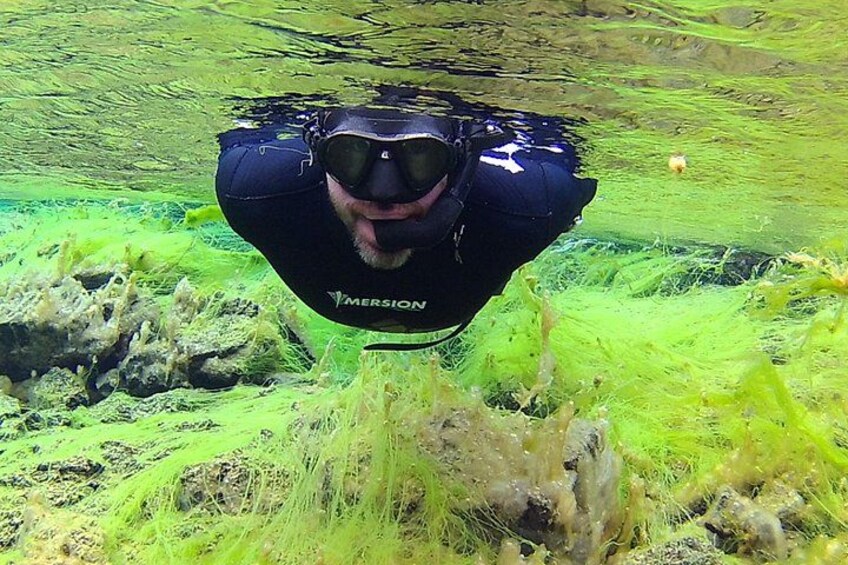 Freedive Silfra Half Day Tour 2