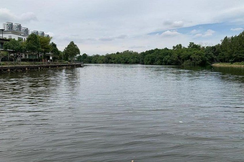 Ein ruhiger Fluss mit einer Brücke und Gebäuden links, umgeben von Bäumen. 5
