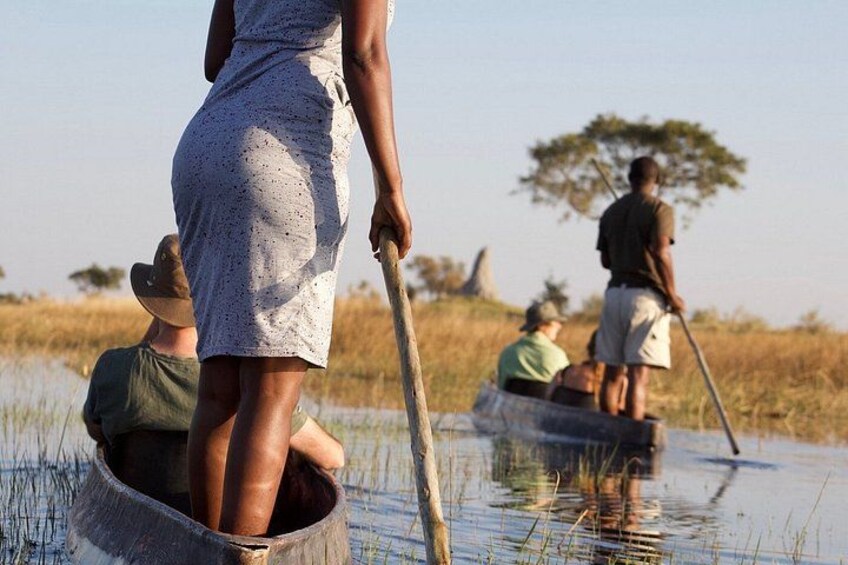 1 Day Okavango Delta Mokoro/Canoe Daytrip 4