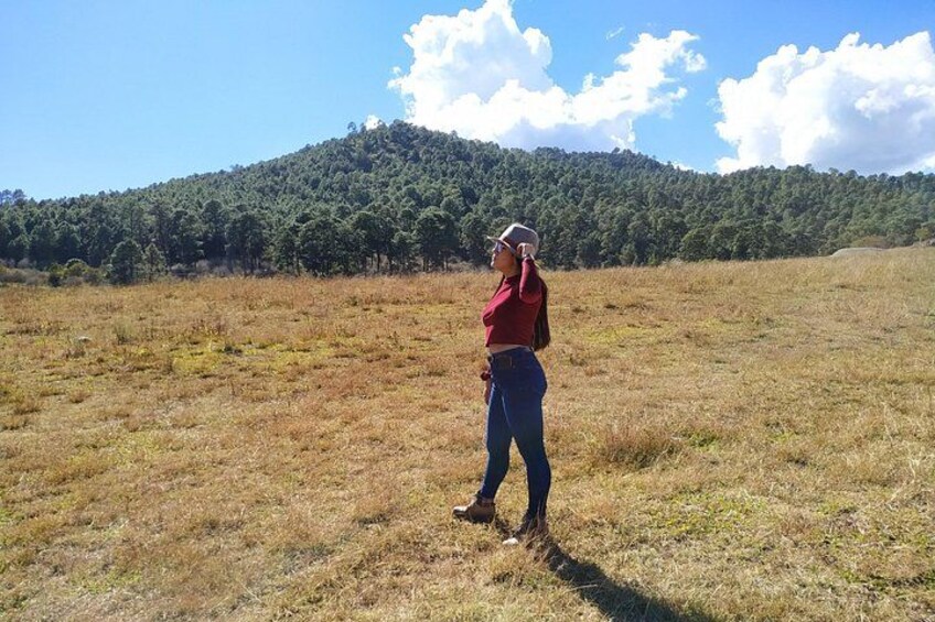 A person standing in a field with a forested hill in the background. 5