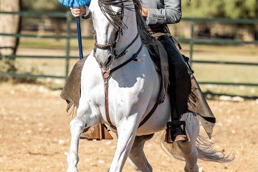 Visit Alvaro Domecq Horses and Brave Bulls in Freedom 4