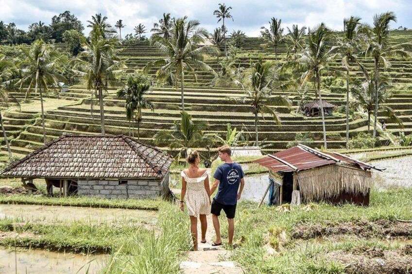 Jatiluwih Rice Terrace