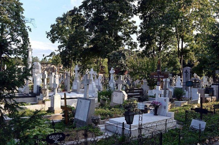 Un cimetière où se dressent de nombreuses pierres tombales et des croix, entouré d’arbres et de verdure. 3