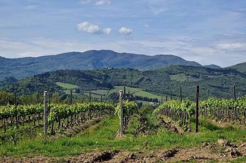 Private Wine Tour 2 top wineries of Chianti Classico Limo Service 5