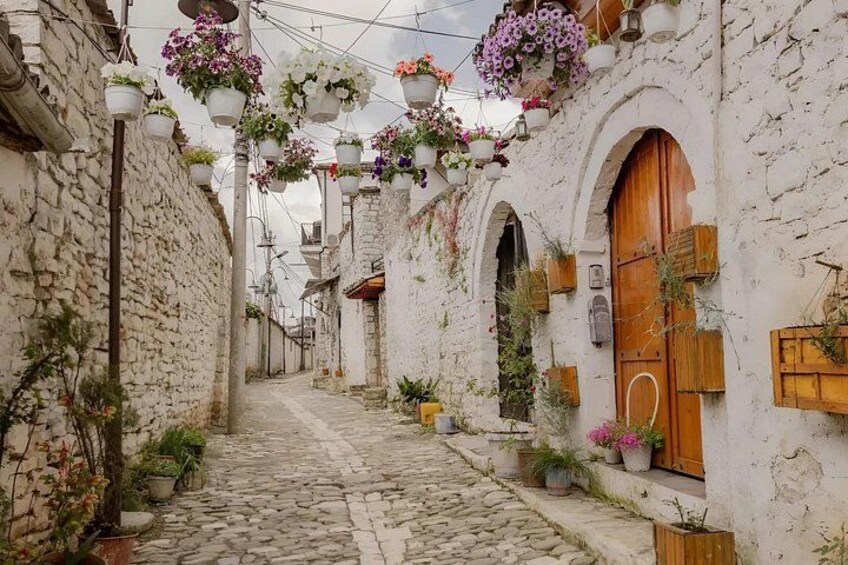 Private Day Tour of Apollonia & Berat from Tirana or Durres 3