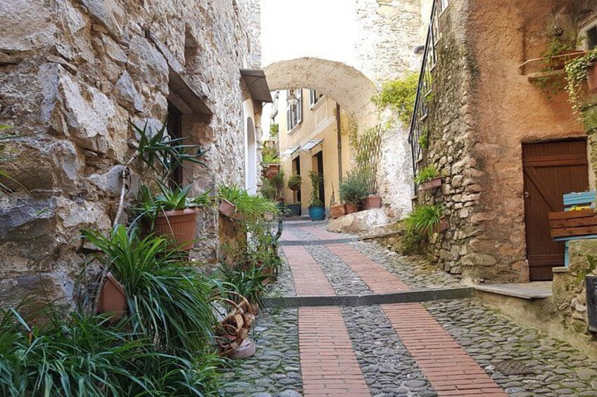 A narrow cobblestone alley with stone buildings, potted plants, and a rustic atmosphere. 4