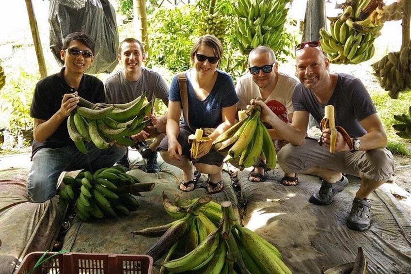 A group of people holding bunches of bananas in an outdoor setting. 2