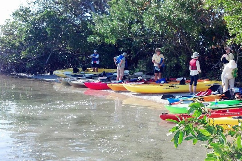 Personas de pie junto a canoas en un río tranquilo, rodeadas de abundante vegetación. 2