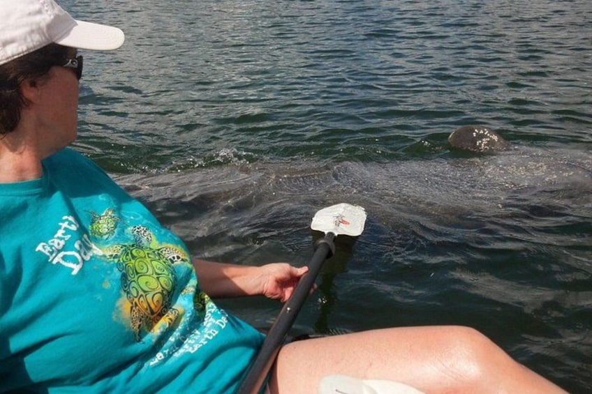 Una persona practica kayak en el agua, con una tortuga visible al fondo. 3