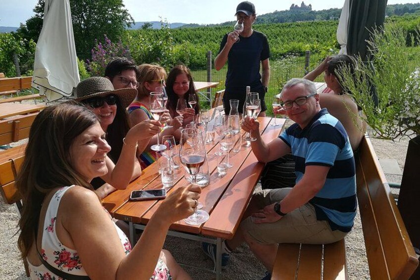 Countryside Half Day Wine Tour near Vienna with meal & transfer 3