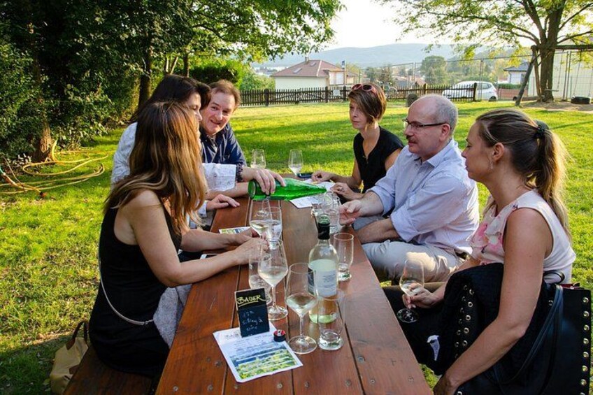Wine Tour in Weinviertel 2