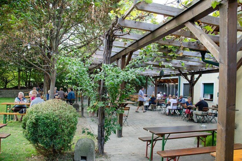 Countryside Half Day Wine Tour near Vienna with meal & transfer 3