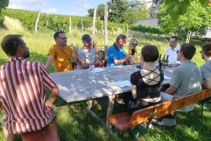 Countryside Half Day Wine Tour near Vienna with meal & transfer 3