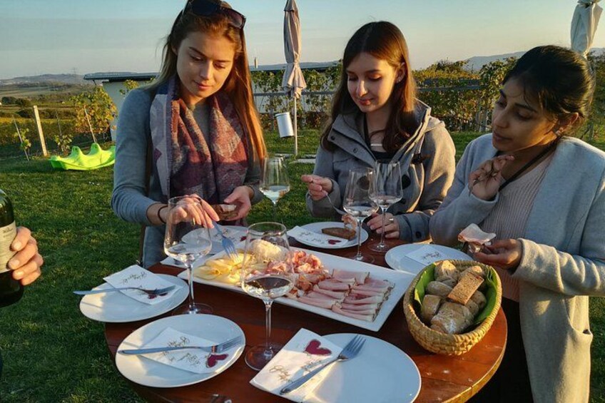 Snacks and wine tasting in the vineyard 2