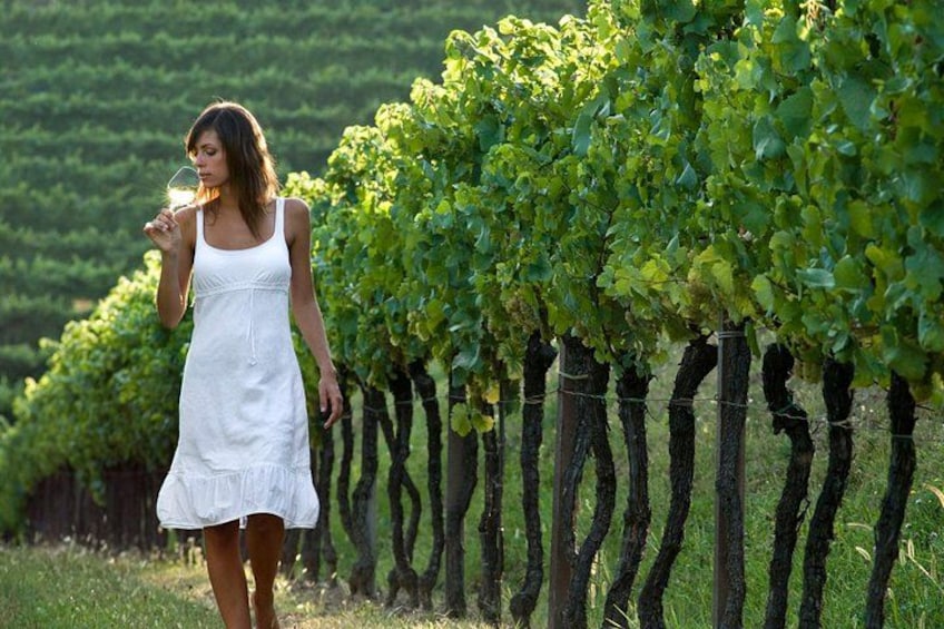 Countryside Half Day Wine Tour near Vienna with meal & transfer 2