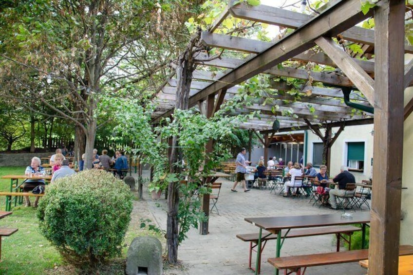 Countryside Half Day Wine Tour near Vienna with meal & transfer 4
