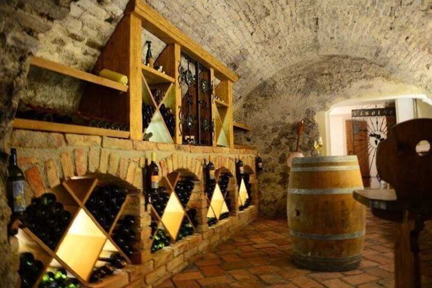 Countryside Half Day Wine Tour near Vienna with meal & transfer 5
