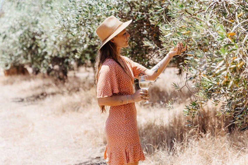 Hidden Gems of Margaret River: Wine, Italian Lunch & Emu Feeding 2