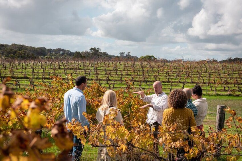 Un groupe de personnes dans un vignoble. 5