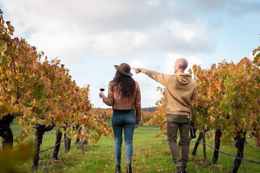 Hidden Gems of Margaret River: Wine, Italian Lunch & Emu Feeding 3
