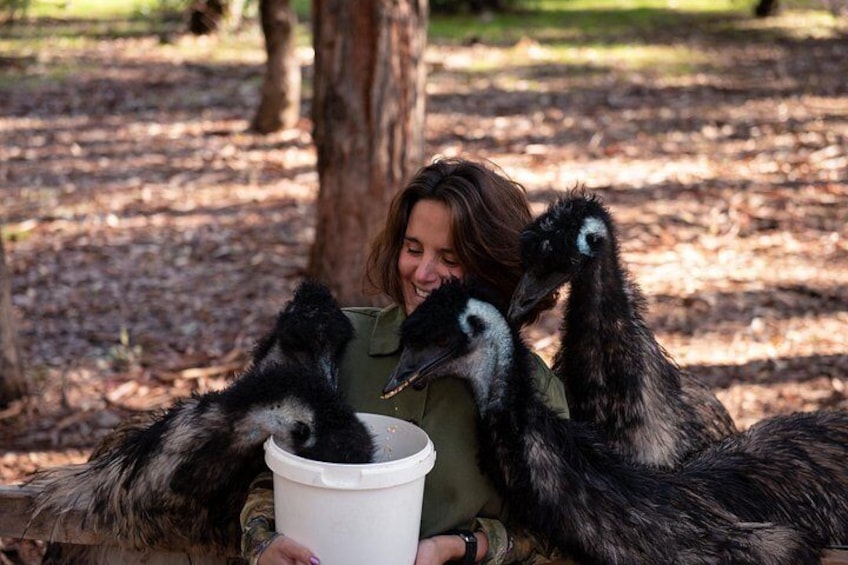 Hidden Gems of Margaret River: Wine, Italian Lunch & Emu Feeding 2