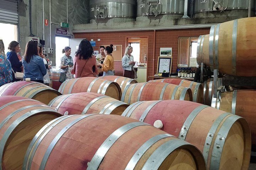 See the 'real face' of winemaking 4
