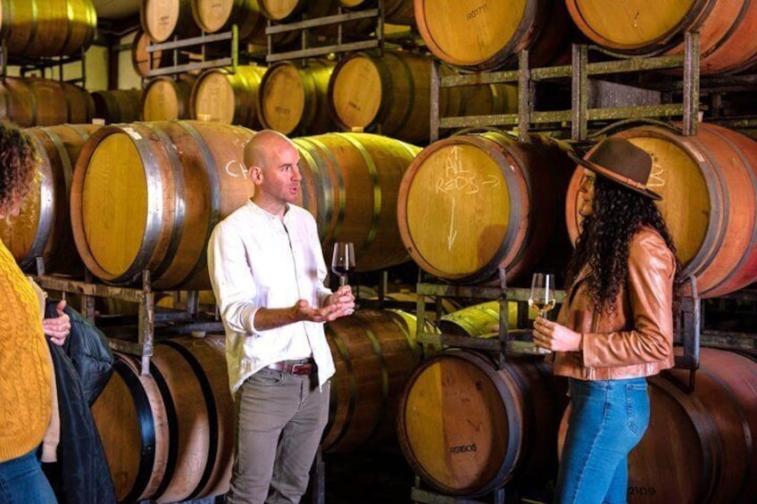 Margaret River Small-Group Curated Wine, Coffee, Lunch & Forest 1