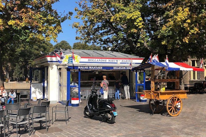Visit the Girl with the Pearl Earring, The Hague & Delft City 5
