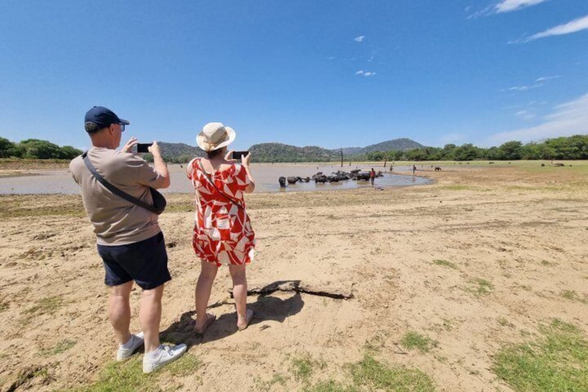 From Ella to Yala: Cooking Class, Kayaking & Cultural exchange 4