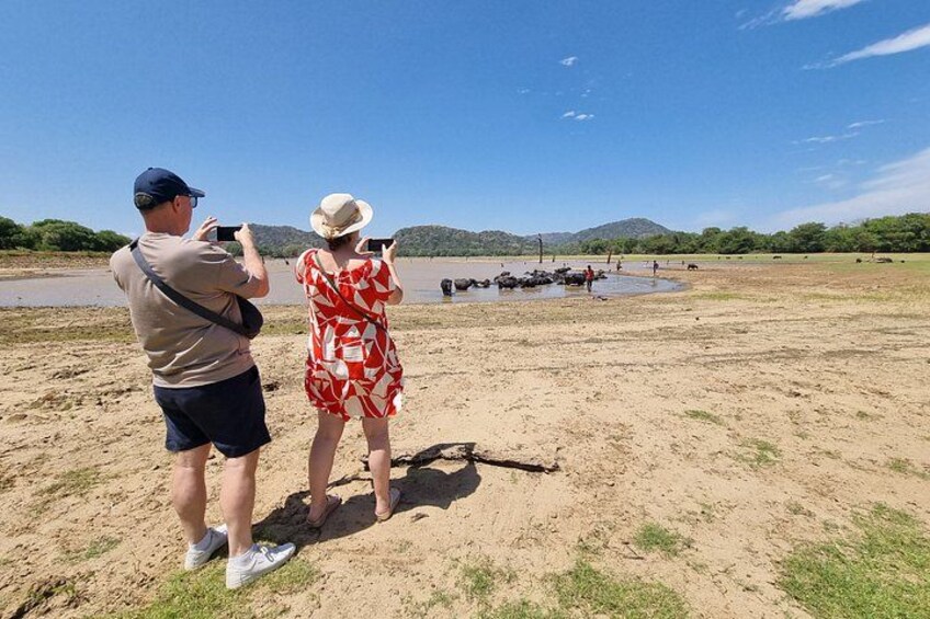 From Ella to Yala: Cooking Class, Kayaking & Cultural exchange 4