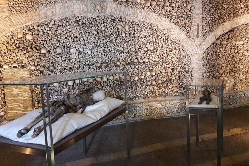 A room with a wall covered in skulls, a glass table with a skeleton, and a chair with a skull on it. 4