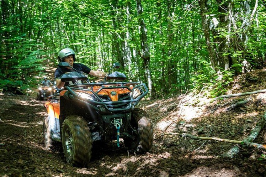 Eine Person fährt mit einem Quad durch ein bewaldetes Gebiet. 2