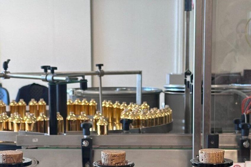 Guided tour of the perfume factory Fragonard 2
