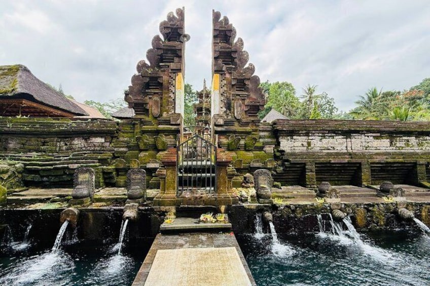 Ubud Highlights: Monkey Forest, Rice Terrace, Tirta Empul Temple 3