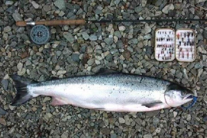 Atlantic Salmon & Sea Trout fishing.Connemara.English/French speaking Ghillie