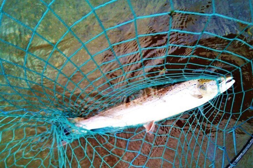 Atlantic Salmon & Sea Trout fishing.Connemara.English/French speaking Ghillie