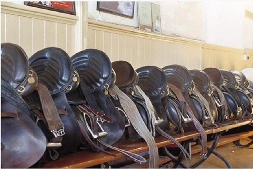 A row of helmets on a wooden table. 3