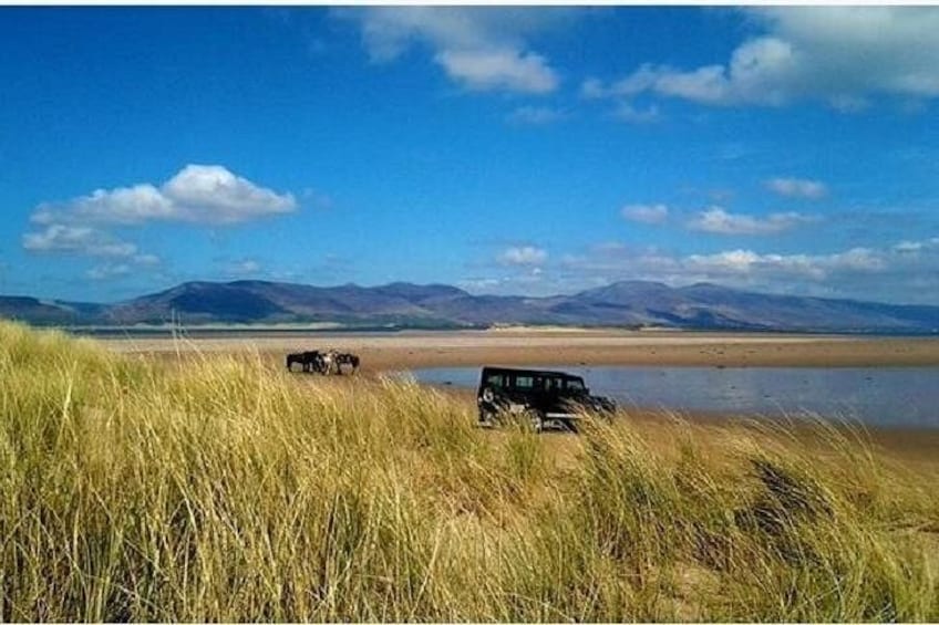 A landscape with a body of water, grassy areas, and mountains in the background. 4