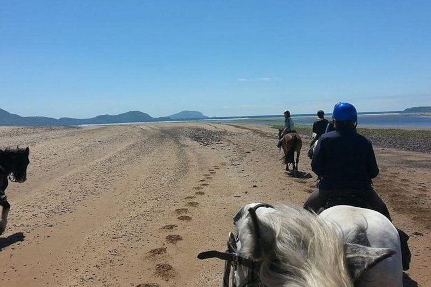 A sandy path with footprints, horses, and riders. 3