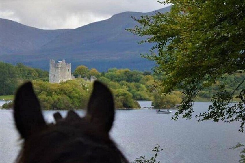 Killarney National Park Horseback Ride. Co Kerry. Guided. 3 hours. 2