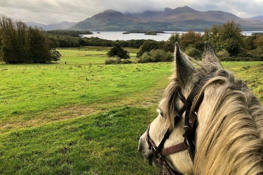 Killarney National Park Horseback Ride. Co Kerry. Guided. 3 hours. 5
