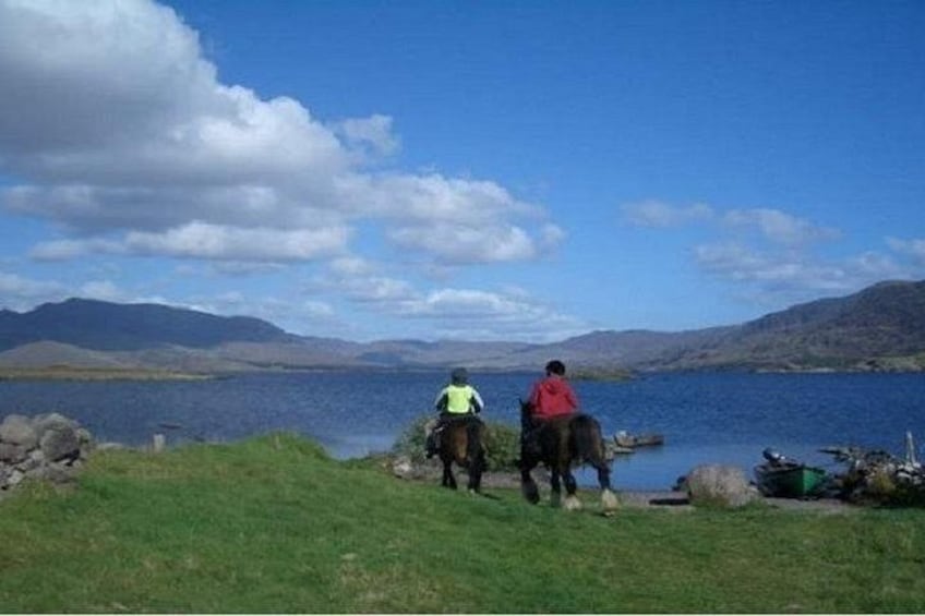 Killarney National Park Horseback Ride. Co Kerry. Guided. 1 hour. 2