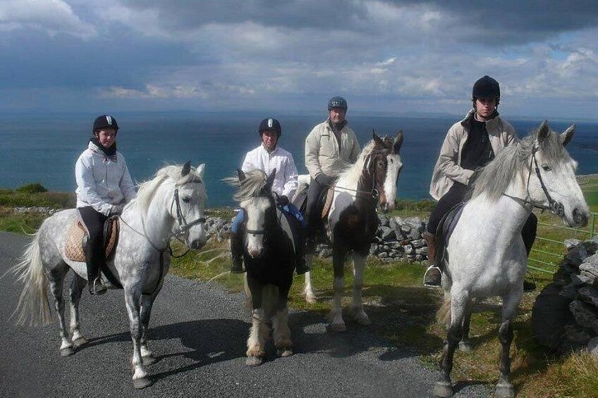 Horse riding - Burren Trail. Lisdoonvarna, Co Clare. Guided. 3 hours. 4