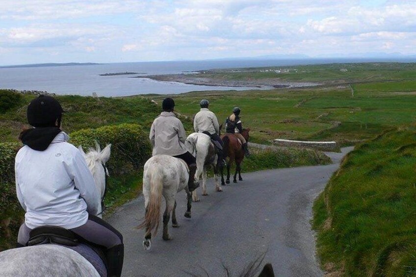 Horse riding - Burren Trail. Lisdoonvarna, Co Clare. Guided. 3 hours. 2