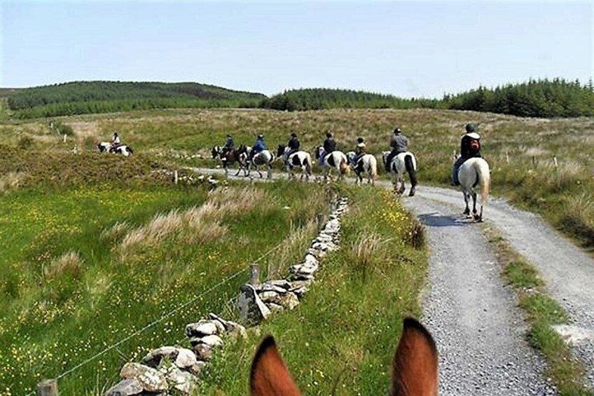Horse riding - Dirt Trek Trail. Lisdoonvarna, Clare. Guided. 1 hour. 2