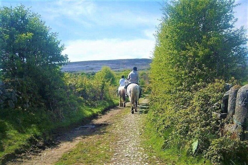 Horse riding - Dirt Trek Trail. Lisdoonvarna, Clare. Guided. 1 hour. 4